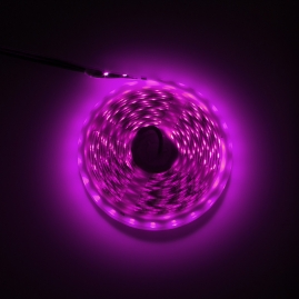 Rolka świecącej taśmy RGBW na kolor ciemno różowy