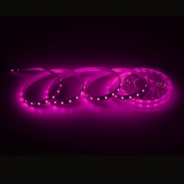 Taśma RGBW świecąca w kolorze fioletowym