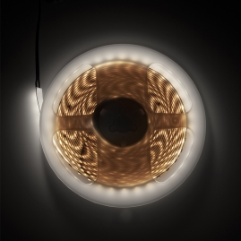 Taśma FUTURE barwa Neutralna